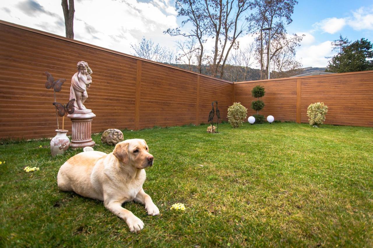 Auszeit Steiraland 3 Mit Ueberdachter Terasse Privatem Garten Und Gratis Parkplatz Leoben  Extérieur photo